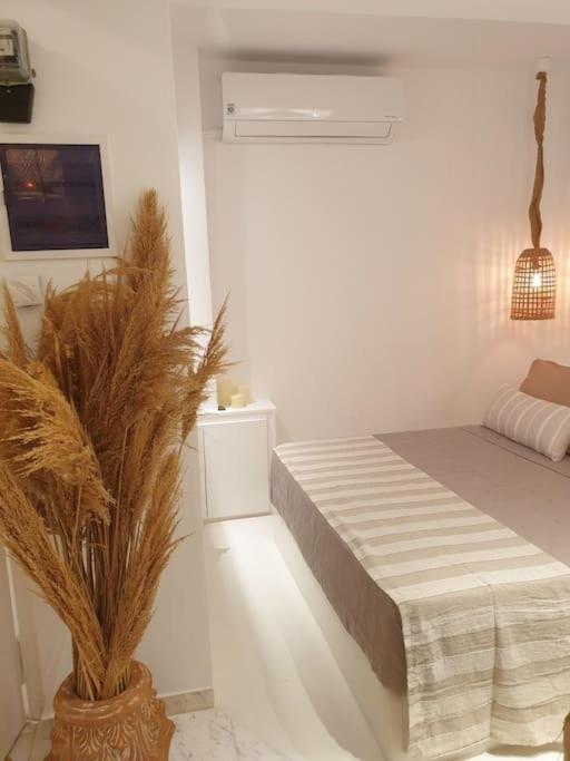 Amalthea Guest House Kos Extérieur photo